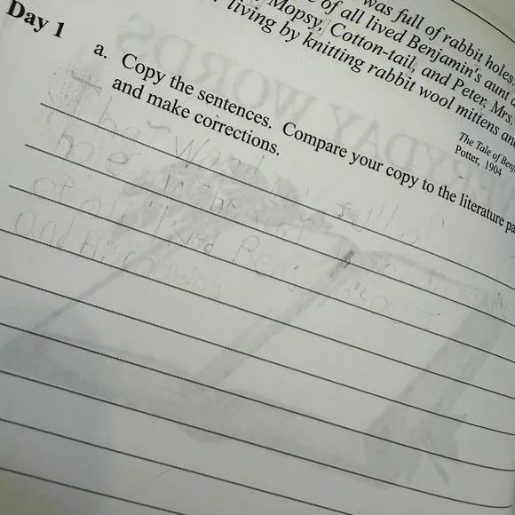 Learning Language Arts Through Literature, The Yellow Book, Student + Teacher - Picture 16 of 17